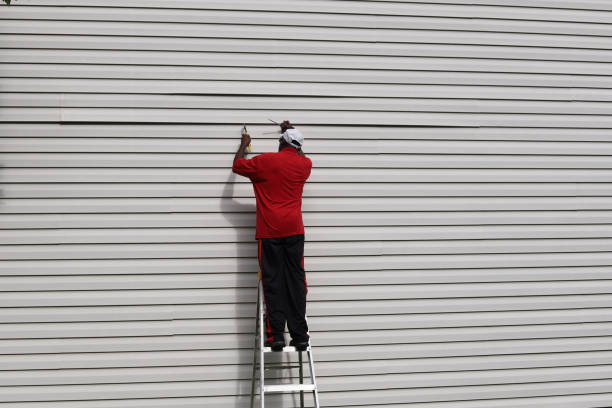 Best Siding Replacement  in Millington, NJ