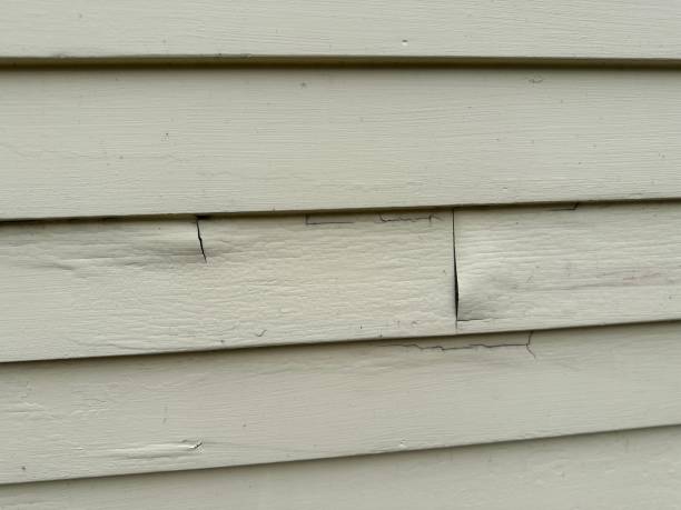 Best Siding for New Construction  in Millington, NJ